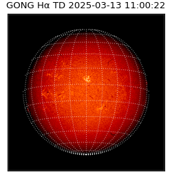 gong - 2025-03-13T11:00:22