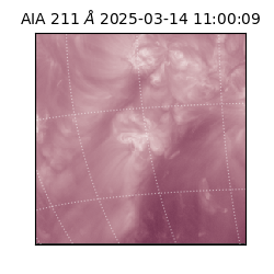saia - 2025-03-14T11:00:09.626000