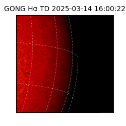 gong - 2025-03-14T16:00:22
