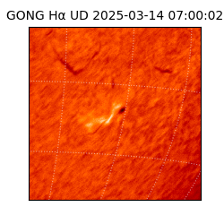 gong - 2025-03-14T07:00:02