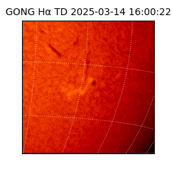 gong - 2025-03-14T16:00:22