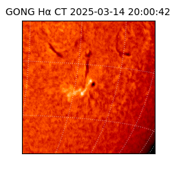 gong - 2025-03-14T20:00:42