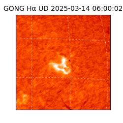 gong - 2025-03-14T06:00:02
