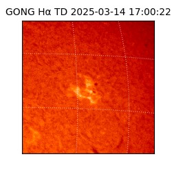 gong - 2025-03-14T17:00:22