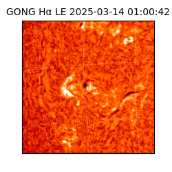 gong - 2025-03-14T01:00:42