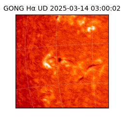 gong - 2025-03-14T03:00:02