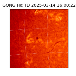 gong - 2025-03-14T16:00:22