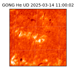 gong - 2025-03-14T11:00:02