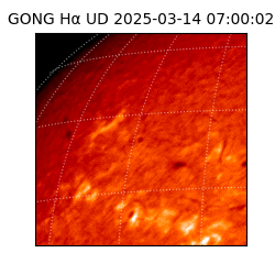 gong - 2025-03-14T07:00:02