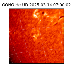 gong - 2025-03-14T07:00:02