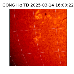 gong - 2025-03-14T16:00:22