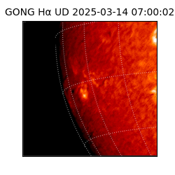 gong - 2025-03-14T07:00:02