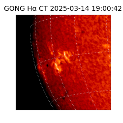 gong - 2025-03-14T19:00:42