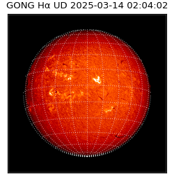 gong - 2025-03-14T02:04:02