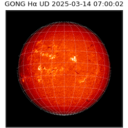 gong - 2025-03-14T07:00:02