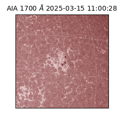 saia - 2025-03-15T11:00:28.710000