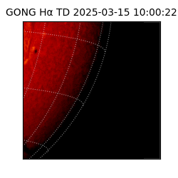 gong - 2025-03-15T10:00:22