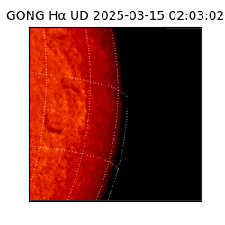 gong - 2025-03-15T02:03:02