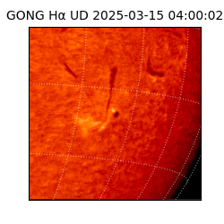 gong - 2025-03-15T04:00:02