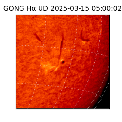 gong - 2025-03-15T05:00:02