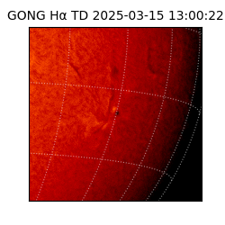 gong - 2025-03-15T13:00:22