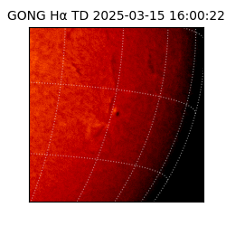 gong - 2025-03-15T16:00:22