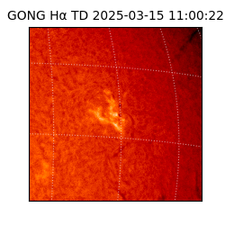 gong - 2025-03-15T11:00:22