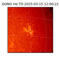 gong - 2025-03-15T12:00:22