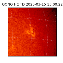 gong - 2025-03-15T15:00:22