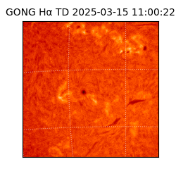 gong - 2025-03-15T11:00:22