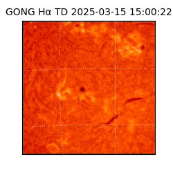 gong - 2025-03-15T15:00:22