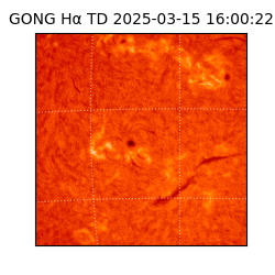 gong - 2025-03-15T16:00:22