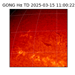 gong - 2025-03-15T11:00:22