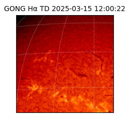 gong - 2025-03-15T12:00:22