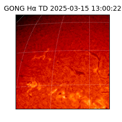 gong - 2025-03-15T13:00:22