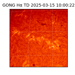 gong - 2025-03-15T10:00:22