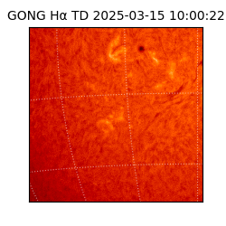 gong - 2025-03-15T10:00:22