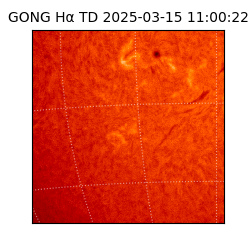 gong - 2025-03-15T11:00:22