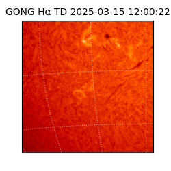 gong - 2025-03-15T12:00:22