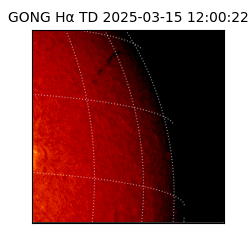 gong - 2025-03-15T12:00:22