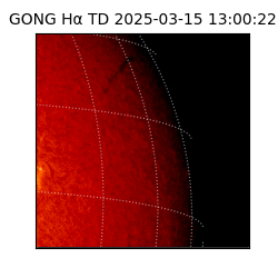 gong - 2025-03-15T13:00:22
