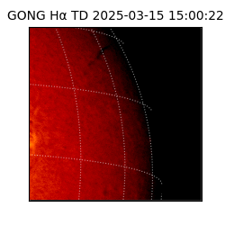 gong - 2025-03-15T15:00:22