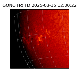 gong - 2025-03-15T12:00:22