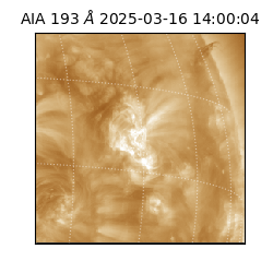 saia - 2025-03-16T14:00:04.844000