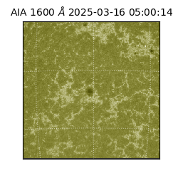 saia - 2025-03-16T05:00:14.130000