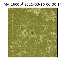 saia - 2025-03-16T06:00:14.126000