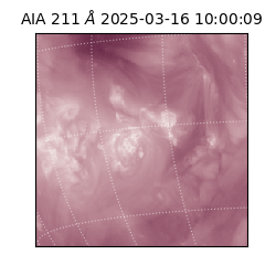 saia - 2025-03-16T10:00:09.626000