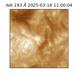 saia - 2025-03-16T11:00:04.844000