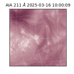 saia - 2025-03-16T10:00:09.626000