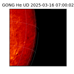 gong - 2025-03-16T07:00:02